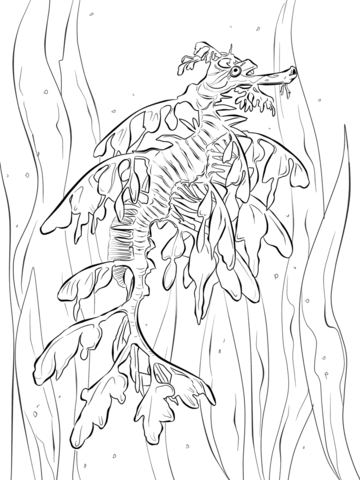 Realistic Leafy Seadragon Coloring Page